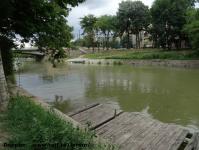 Imagine atasata: Bega - 2015.06.19 - 20.jpg